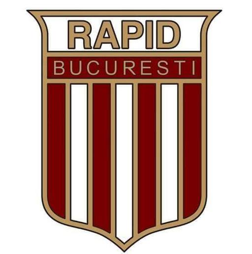 AFC Rapid: Nu vedem rostul de a participa la vânzarea unor bunuri care au o situaţie juridică incertă
