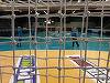 SCM Craiova s-a calificat în grupele Cupei EHF la handbal feminin