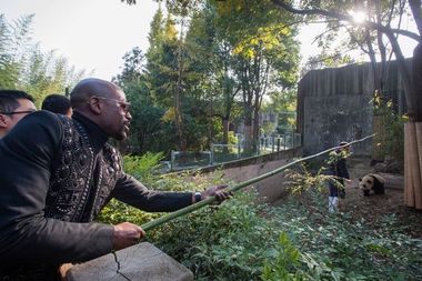 Floyd Mayweather a adoptat un urs panda în China