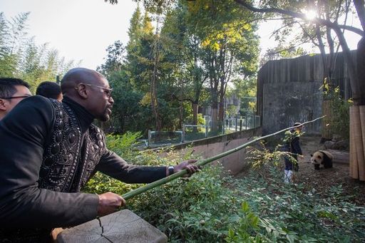 Floyd Mayweather a adoptat un urs panda în China