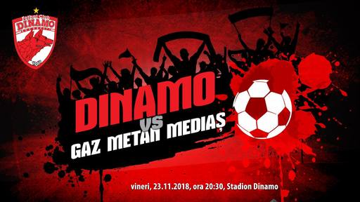 Iulian Călin arbitrează Dinamo-Gaz Metan Mediaş