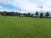 FC Botoşani a câştigat, scor 3-1, meciul amical cu Ludogoreţ Razgrad