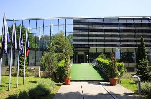 FRF: 8 cluburi au primit licenţa UEFA pentru sezonul 2019-2020