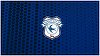 Neil Warnock a fost demis de la Cardiff City