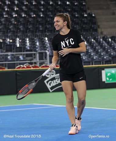 Simona Halep: M-am uitat la meciurile de Fed Cup, consider că fetele au făcut o treabă extraordinară şi cred că vor face acest lucru şi cu Italia