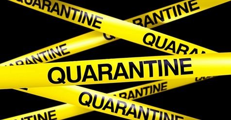 Coronavirus - panică la CSN Snagov. Preşedinte SNST: Angajaţii sunt disperaţi pentru că lotul de kaiac-canoe revine din Italia şi va fi cazat în baza sportivă