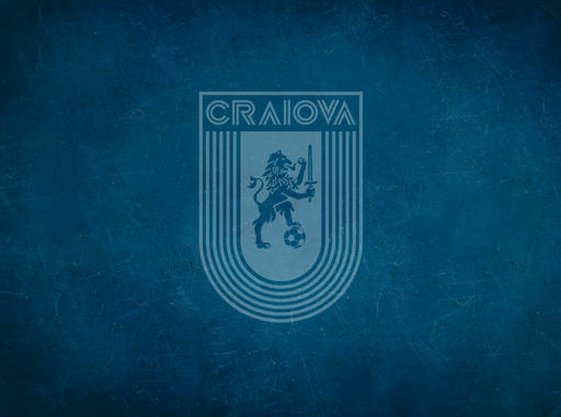 Universitatea Craiova a dat publicităţii rezultatul exerciţiului financiar pentru 2019