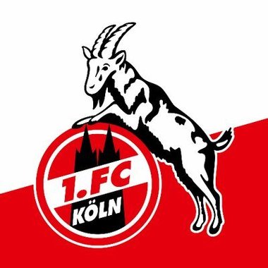 Al doilea rând de teste pentru Sars-CoV-2 efectuate jucătorilor echipei FC Koln, negativ