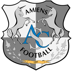 Clubul Amiens dă în judecată liga profesionistă din Franţa