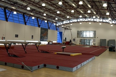 FRG: Loturile olimpice de gimnastică vor relua pregătirea la Izvorani, imediat ce măsurile o vor permite
