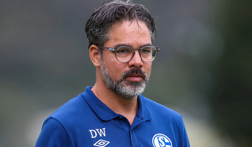 Schalke 04 s-a despărţit de tehnicianul David Wagner