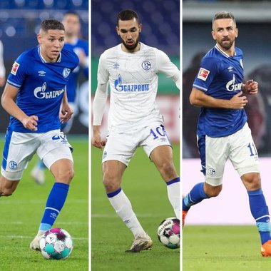 Schalke 04: Atacantul Vedad Ibisevic, dat afară după un conflict cu secundul Naldo
