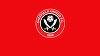 Sheffield United a retrogradat în liga a secundă din Anglia