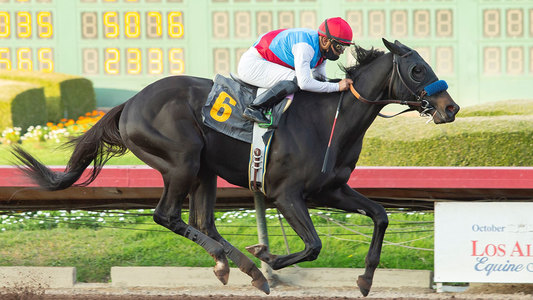 Medina Spirit, calul câştigător la Kentucky Derby, testat pozitiv cu un steroid 