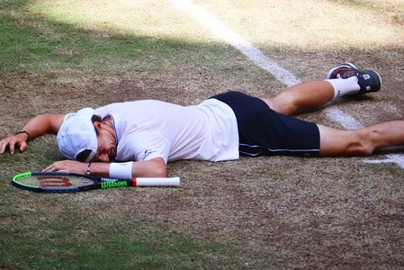 ATP: Humbert a câştigat turneul de la Halle. Berrettini s-a impus la Londra