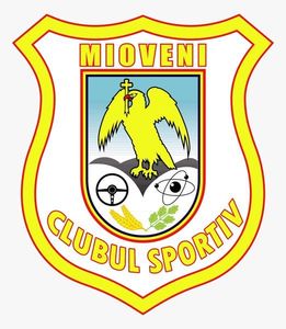 CS Mioveni depune memoriu împotriva arbitrajului după meciul cu CFR Cluj şi ameninţă cu retragerea din campionat
