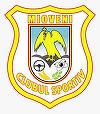 CS Mioveni depune memoriu împotriva arbitrajului după meciul cu CFR Cluj şi ameninţă cu retragerea din campionat
