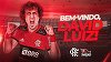 La 34 de ani, David Luiz a semnat cu Flamengo