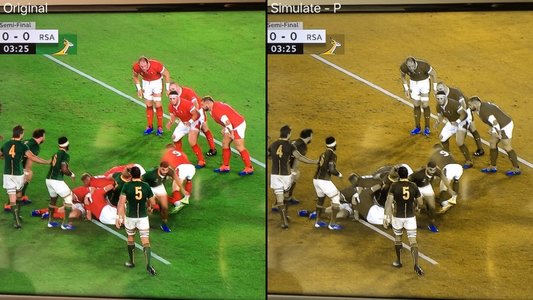 Măsură plănuită de World Rugby pentru a-i ajuta pe fanii daltonişti