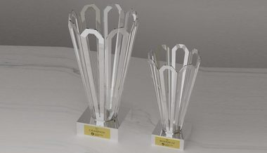 Floarea Infinitului, trofeul turneului Transylvania Open