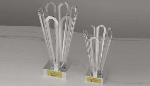 Floarea Infinitului, trofeul turneului Transylvania Open