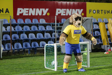 Ciobănescul carpatin a devenit mascota echipei naţionale de fotbal a României - VIDEO