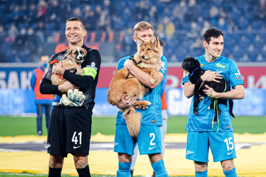 Iniţiativă a clubului Zenit similară cu cea din Liga 1: Jucătorii au intrat pe teren ţinând în braţe câini disponibili pentru adopţie – VIDEO