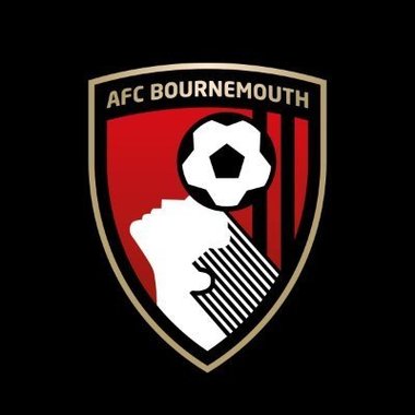 Borunemouth, a doua echipă promovată în Premier League