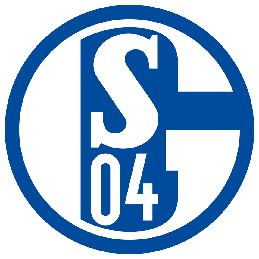 Schalke 04 a revenit în Bundesliga după un an