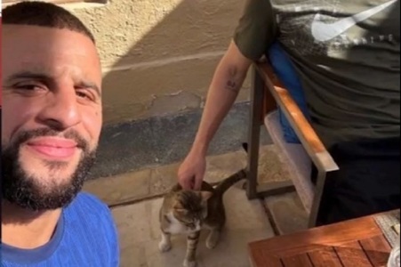 Walker şi Stones vor adopta o pisică găsită în cantonamentul din Qatar - VIDEO