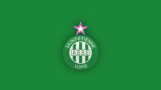 Patru suporteri ai lui St Etienne au fost condamnaţi în dosarul „Ultras 42”