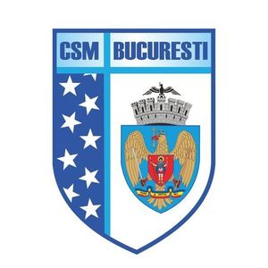 CSM Bucureşti, despre scandalul Cristina Neagu - fanii rapidişti: Nu putem asista pasiv la o serie de neadevăruri rostite de unii reprezentanţi ai Rapidului şi la declaraţia preşedintelui FRH