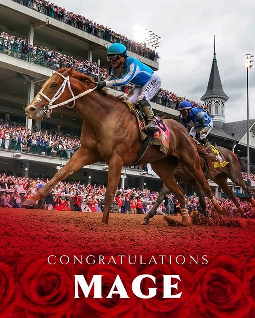 Calul Mage a câştigat a 149-a ediţie a Kentucky Derby. Evenimentul, umbrit de moartea a şapte cai