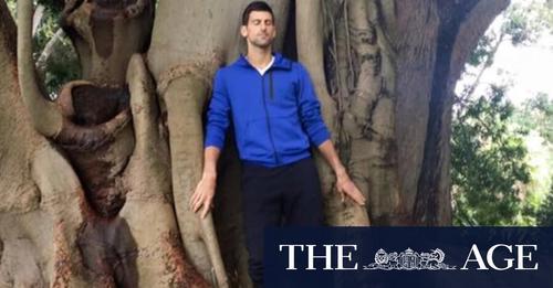 Novak Djokovici are o  "relaţie specială" cu un copac de la grădina botanică regală din Melbourne