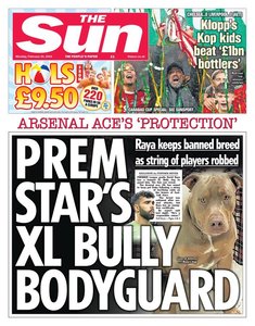 Portarul echipei Arsenal, David Raya, vrea să-şi apere casa cu un câine interzis în Anglia
