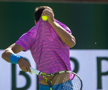 Indian Wells; Meciul Alcaraz – Zverev, întrerupt din cauza unui roi de albine. Înţepat, spaniolul a obţinut calificarea în semifinale – VIDEO