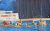 Polo: Steaua Bucureşti - CN Sabadell, scor 5-6, în sferturile de finală ale LEN Euro Cup