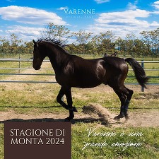 Italia: Două persoane au fost reţinute după ce au vândut ilegal spermă de la legendarul cal de curse Varenne