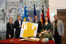 Euro-2024: Delegaţia României a fost primită în recepţie la Primăria Würzburg
