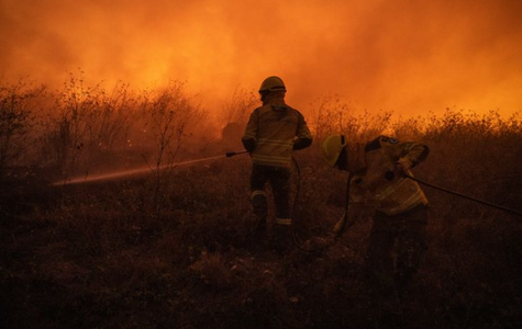 Liga portugheză va planta 200 de copaci pentru fiecare gol marcat, ca răspuns după incendiile de vegetaţie