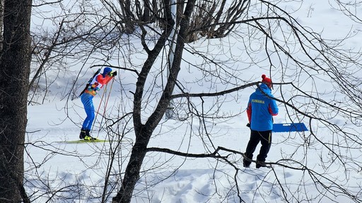 FOTE Bakuriani: România a terminat pe locul 12 la biatlon ştafetă mixtă 4x6km
