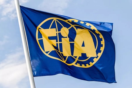 Robert Reid a demisionat din funcţia de vicepreşedinte FIA pentru sport
