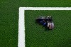 Coreea de Sud elimină interdicţia de 26 de ani privind portarii străini în K League