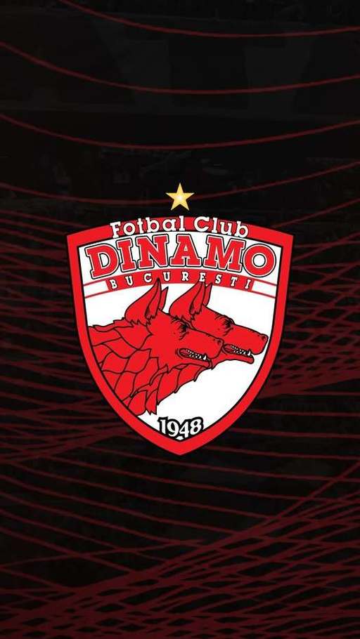 FC Dinamo a ieşit din insolvenţă. Ce spune administratorul special Andrei Niculescu