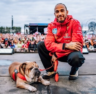 F1: A murit Roscoe, câinele lui Lewis Hamilton şi mascota paddock-ului 