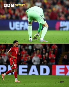 Un şobolan a intrat pe teren la meciul Ţara Galilor - Belgia, din preliminariile CM-2026. Courtois a încercat în zadar să-l prindă - VIDEO