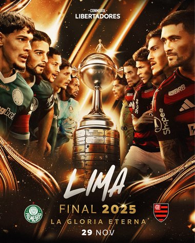 Finală braziliană în Copa Libertadores: Palmeiras - Flamengo