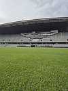 
Cluj Arena beneficiază de un gazon nou, hibrid, similar celor de pe marile stadioane ale Europei  