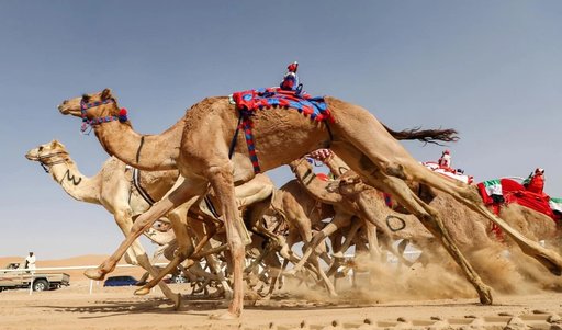 Investiţia surprinzătoare a lui Paul Pogba într-o echipă de curse de cămile din Arabia Saudită