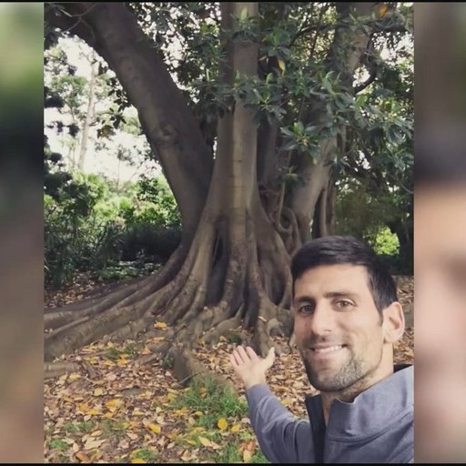 Djokovici, despre legătura sa cu un smochin brazilian: Este cel mai vechi prieten pe care îl am la Melbourne - VIDEO
